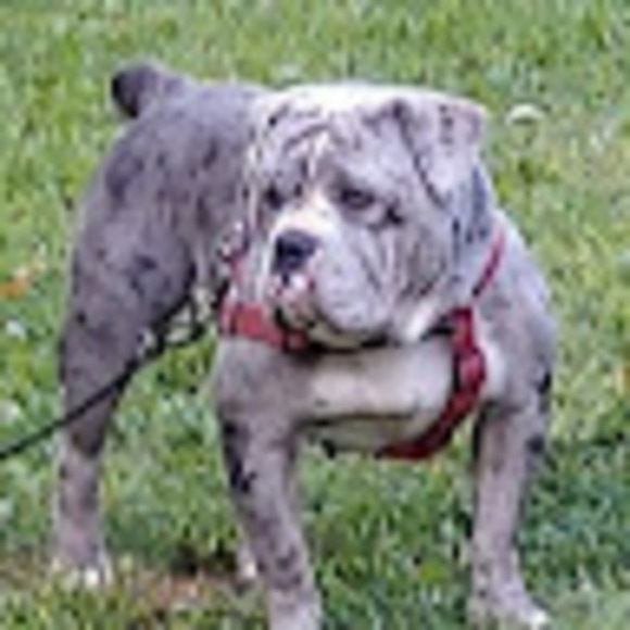 Meet your Posher, Jc - Picture 1 of 1